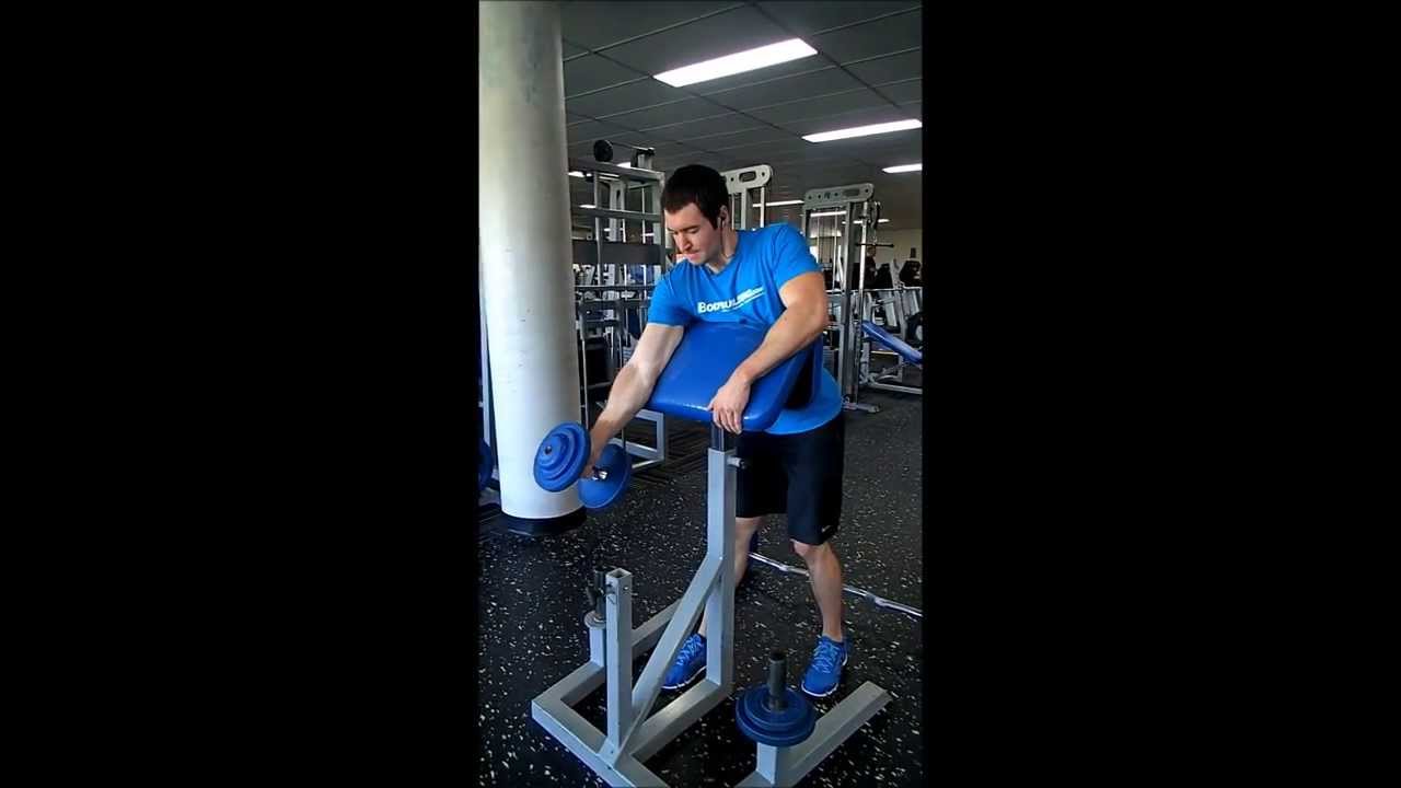 Dumbbell Hammer Curl (Hammercurls) | AndroTube