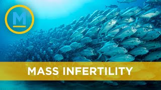 Famous New study finds link between climate change and mass infertility in animals | Your Morning Net Worth