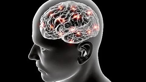 Como nosso cérebro interpreta as imagens?