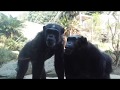 到津の森公園