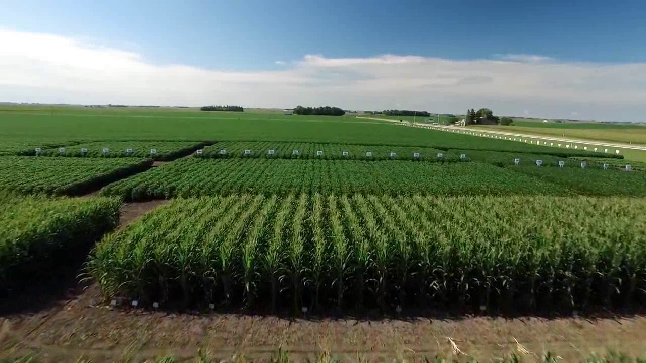 Farm Nutrients Knowledge Plot 