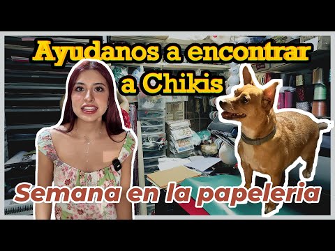 Necesitamos de su ayuda para encontrar a Chikis - Semana en la papelería