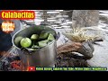 Cocinando unas CALABACITAS tiernas para comerlas con LECHE 🍲 🍠