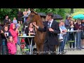 Sax Arabians Germany - Open Day 2018