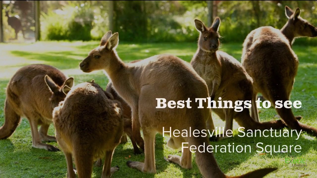 Things to do in Victoria with Exotic Lifestyles