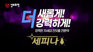 세피나 왜 세피나인가