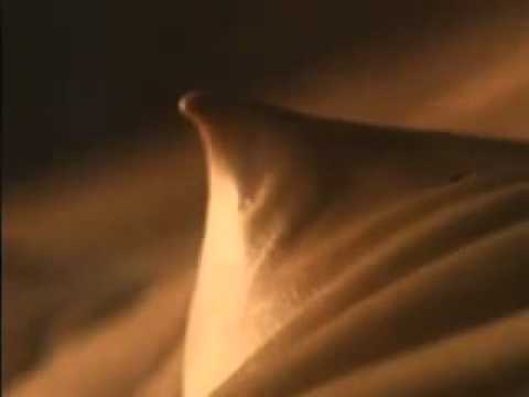 EARTH　グリコ　ムースポッキーCM　（2000）