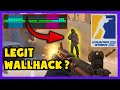 Can this built-in feature be used as &quot;Wallhack&quot;?!  Counter Strike 2