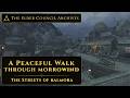 A Peaceful Walk Through Morrowind - Part 2: The Streets of Balmora