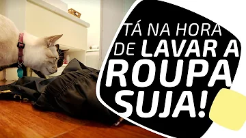 Como lavar luva de ciclista?