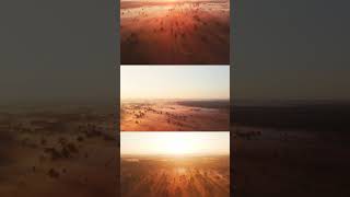 Can You Name This Cinematic?