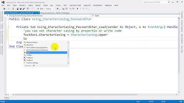 View CharacterCasing and PasswordChar on Form in VB NET 2012