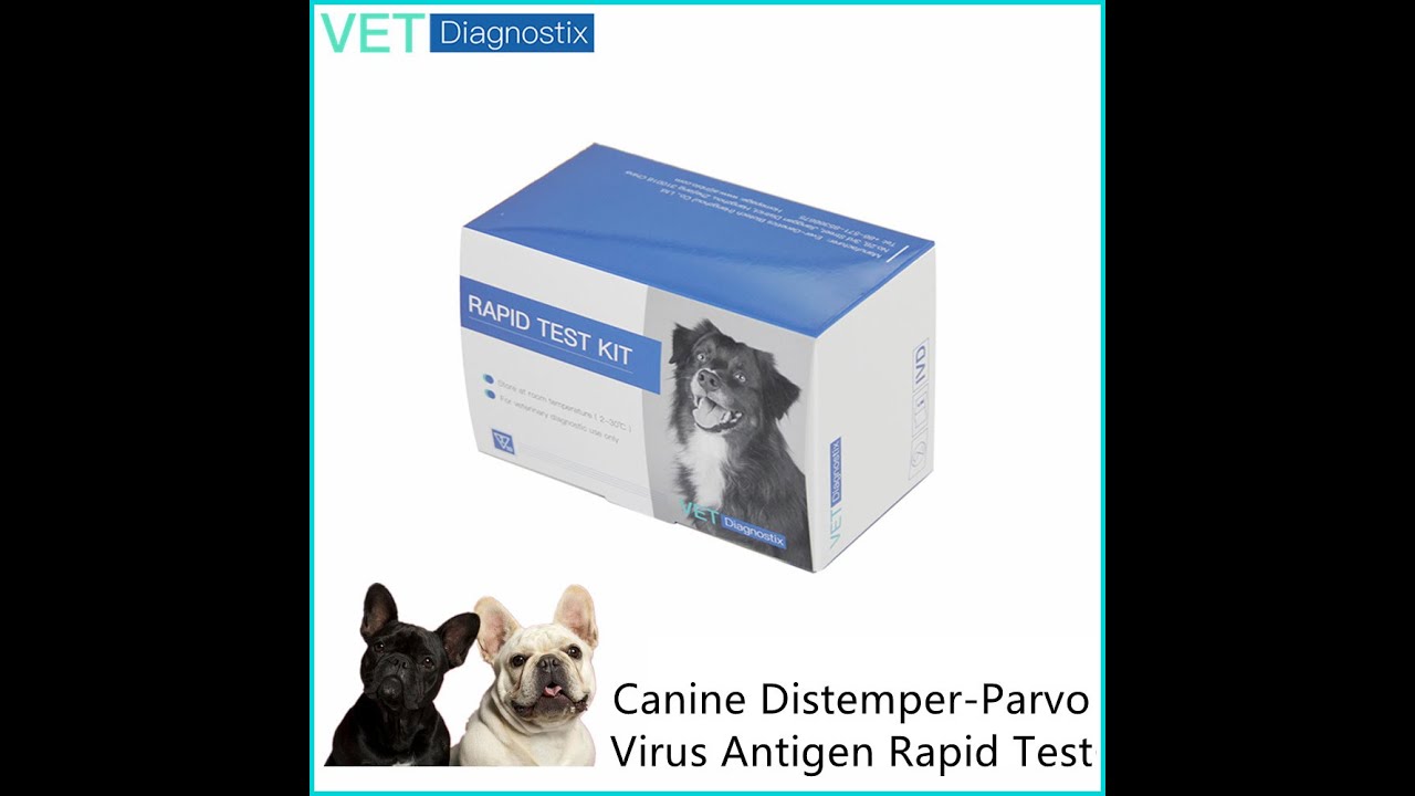 Distemper Parvo Test YouTube