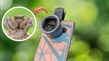 How to Use Macro Lens In Mobile |  3 Tips to Take your Macro Photography to the Next Level