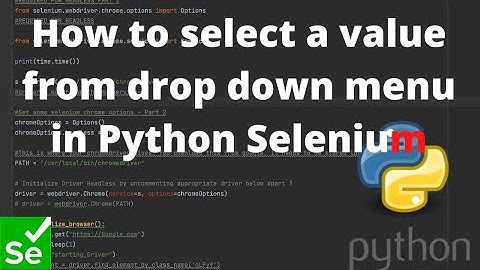 How to select a value from drop down menu in Python Selenium.