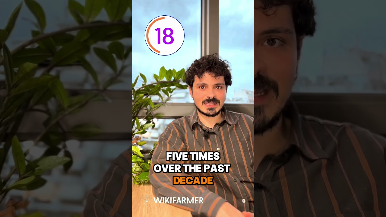 How olive oil is made: The top 10 olive oil producing countries