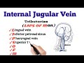 Internal Jugular Vein tributaries