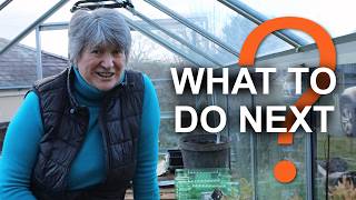 Mid March in the Garden | Real life gardening