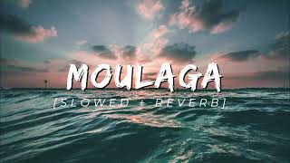 MOULAGA [SLOWED + REVERB] Resimi
