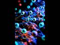Superposition Explained In one minute #shorts