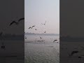 #shivbhajansonotek #love
