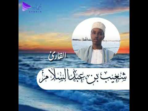 تلاوة عذبة في سورة النحل يتلوها شعيب عبدالسلام 