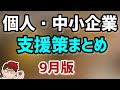 9月版最新！個人事業主・フリーランス・中小企業法人向け補助金・助成金・支援策等経済産業省・内閣官房資料と公式ガイドブック2022版について【中小企業診断士YouTuber マキノヤ先生】第1179回