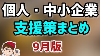 9月版最新！個人事業主・フリーランス・中小企業法人向け補助金・助成金・支援策等経済産業省・内閣官房資料と公式ガイドブック2022版について【中小企業診断士YouTuber マキノヤ先生】第1179回