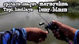 Siapa Sangka  Spot Meragukan Seperti Ini Ternyata Banyak Di Huni Ikan Gabus