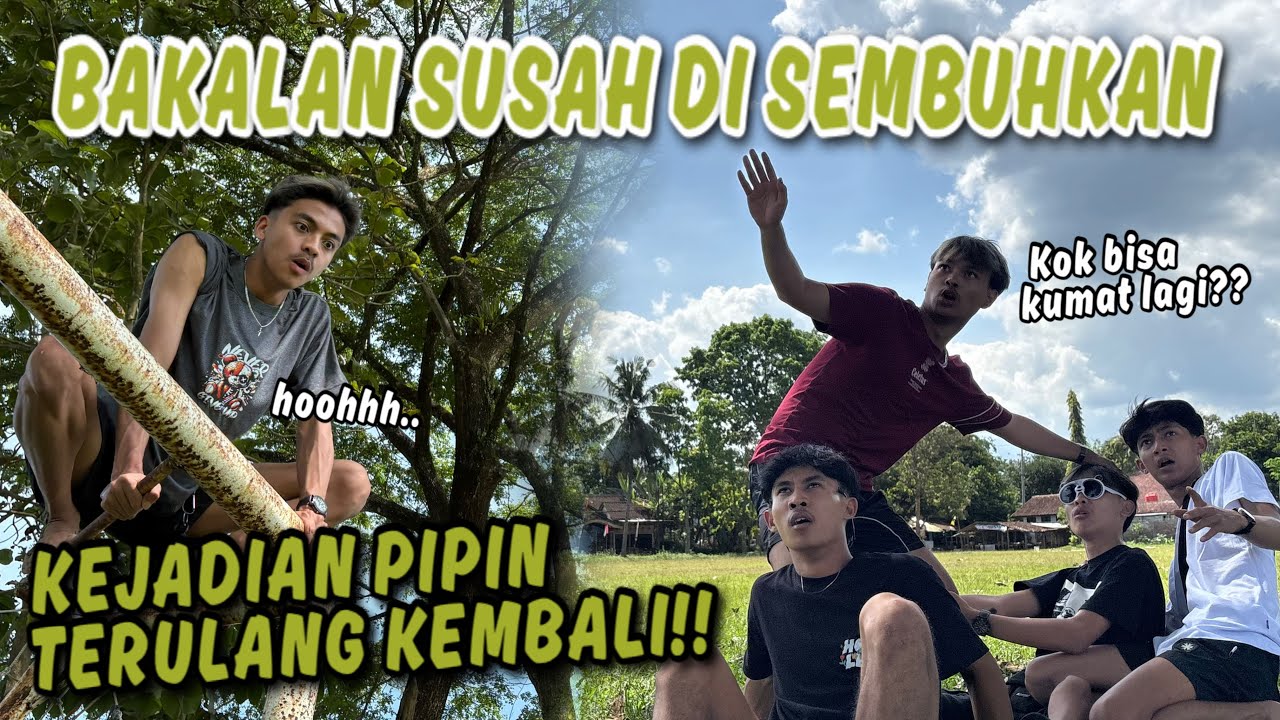 DAPAT KABAR KALO PIPIN KEMBALI SALIWANG !! Auto Susah Sembuh.