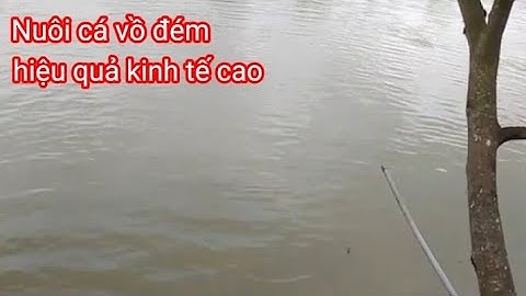 Nuôi cá vồ đém có lãi cao trong tình hình kinh tế khó khăn.