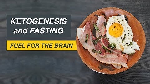Ketogenesis and Fasting: Fuel for the Brain