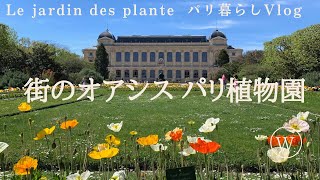 【パリ散歩】地元、パリっ子の人気スポット。癒しを求めてパリ植物園