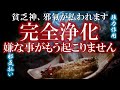 【完全浄化】室内の邪気を払い空間浄化 室内がパワースポットになりぐんぐん幸運体質に変えていく不思議な動画 幸運を引き寄せる音楽 いい事が起こる音楽 浄化の周波数396hz+528hz +20000hz