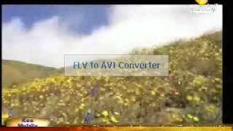 صوت من الجنه سورة ق.avi