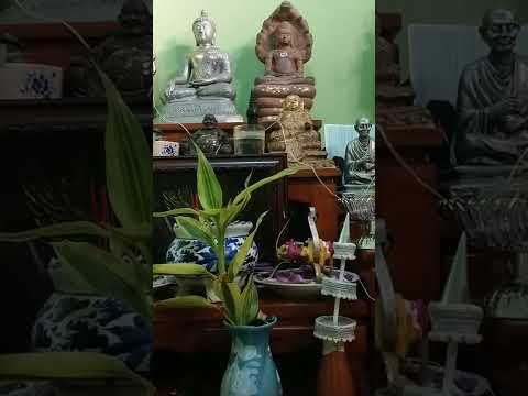 ไตรลักษณ์(อาการ 32)