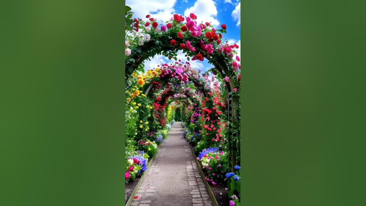 #shortfeed#song #nature #flowers #love #rose #shortfeed#song #nature #flowers #love #rose