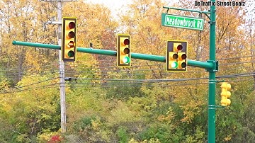 Dog House Flashing Yellow Arrow Traffic Lights | Meadowbrook & Grand River