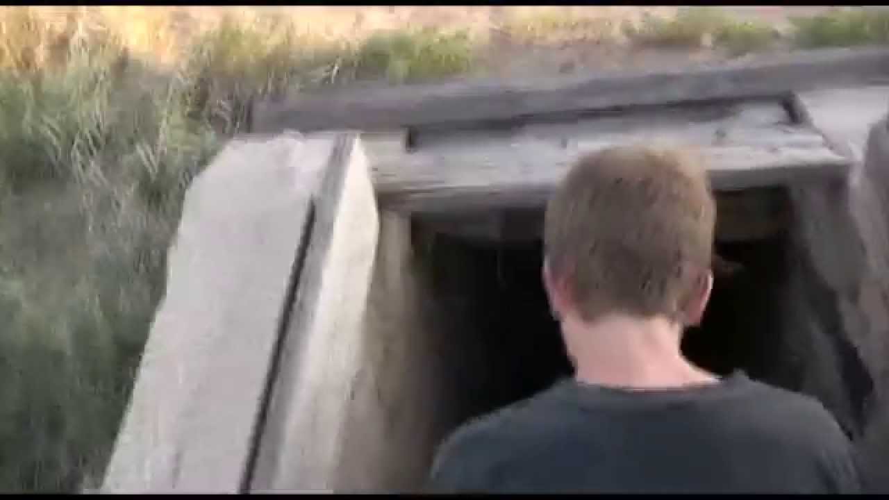 bat signal Tons of BATS!!! Would you go down in this cellar?!?!