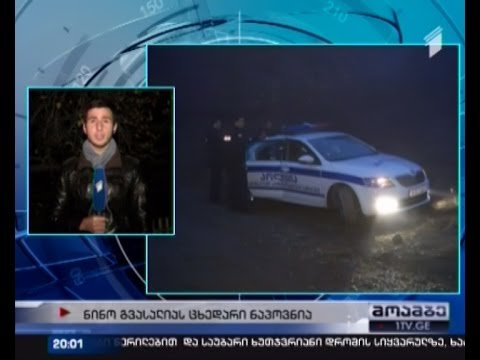 ერთ თვიანი ძებნის სამწუხარო შედეგი -- 22 წლის ნინო გვასალია გარდაცვლილი იპოვეს.