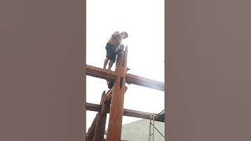 Vào Mộng Xà Cái Nhà Gỗ Thiệu Hóa | Traditional Beam Joint