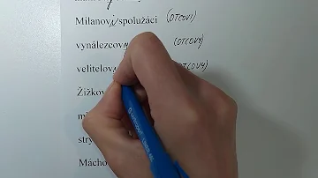 Jak se určuje druh přídavných jmen?