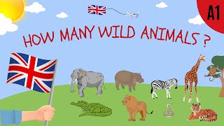 How many ?  Wild Animals ESL English