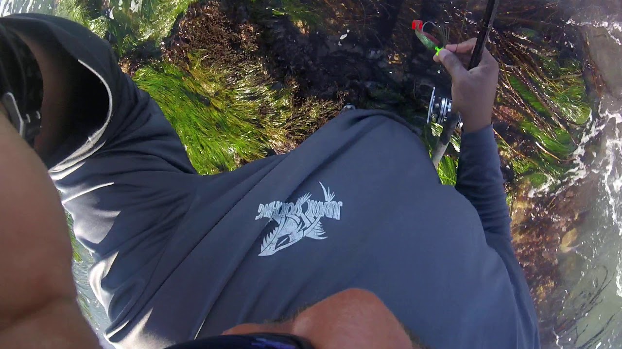 Pocket fishing YouTube