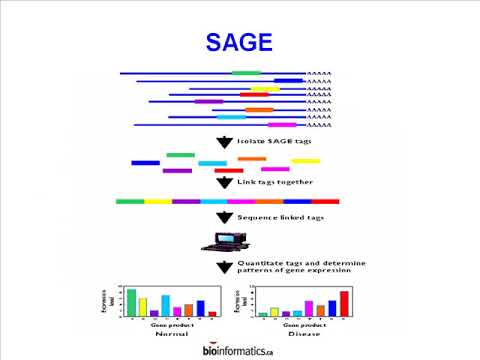 Beyond Genome Sequencing