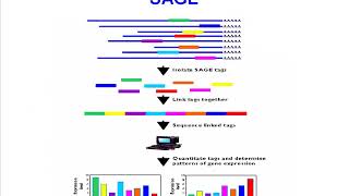Beyond Genome Sequencing