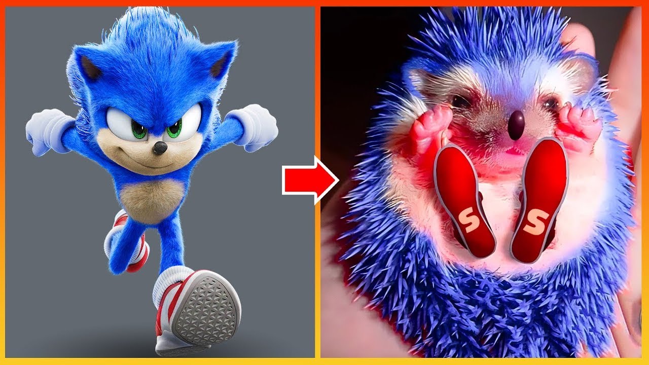 Sonic GENDER SWAP | Sonic In Real Life 2025 – Antadipa Das