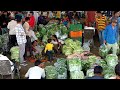  live green vegetable price in rajkot market yard