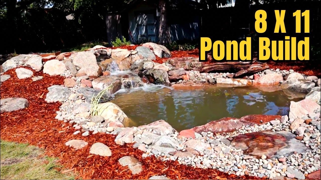 Unveiling Minnesota's Newest Backyard Oasis: A Tranquil Koi Pond