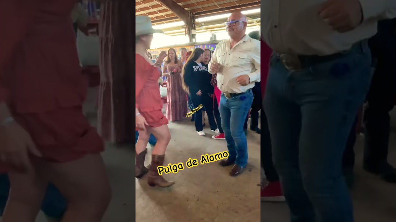 Pulga de Alamo Texas 